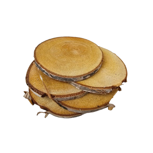 Log Slices, 17-18cm, Sanded Plain Round Wooden Birch Tree