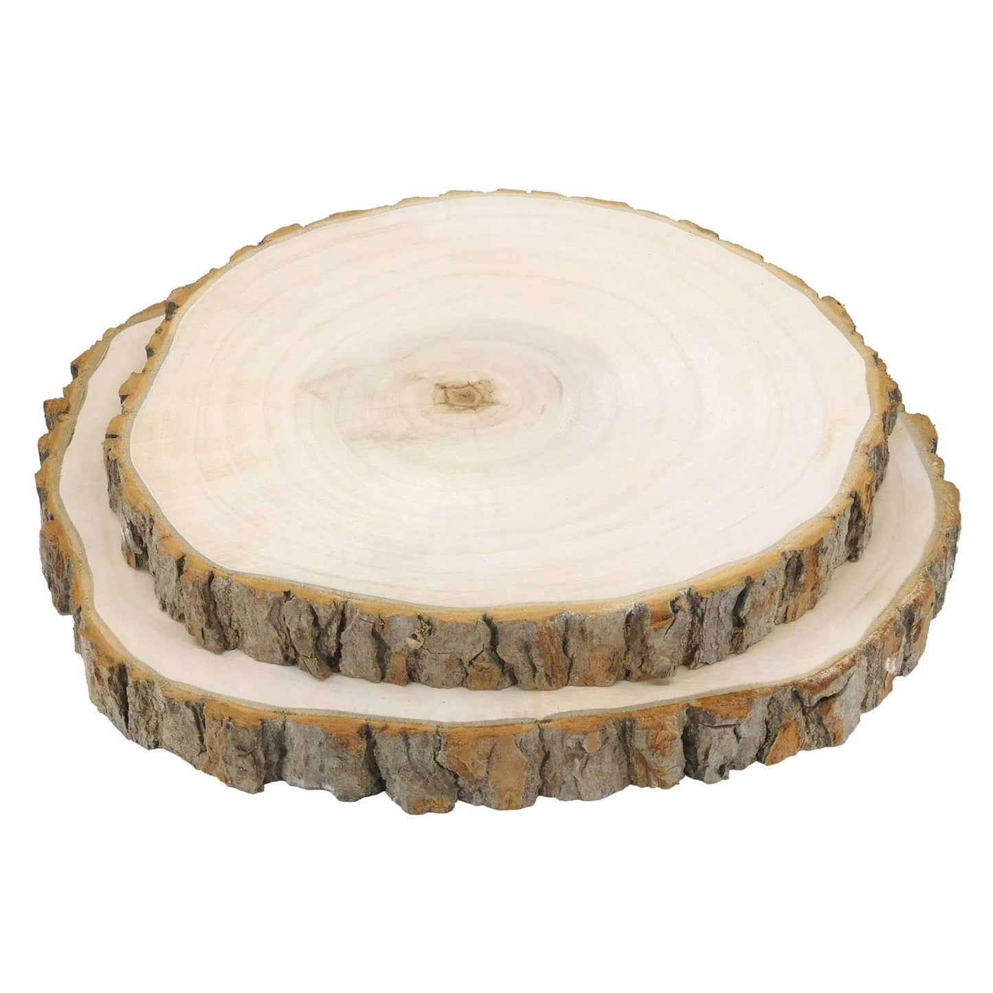 Log Slices, 17-18cm, Sanded Plain Round Wooden Birch Tree