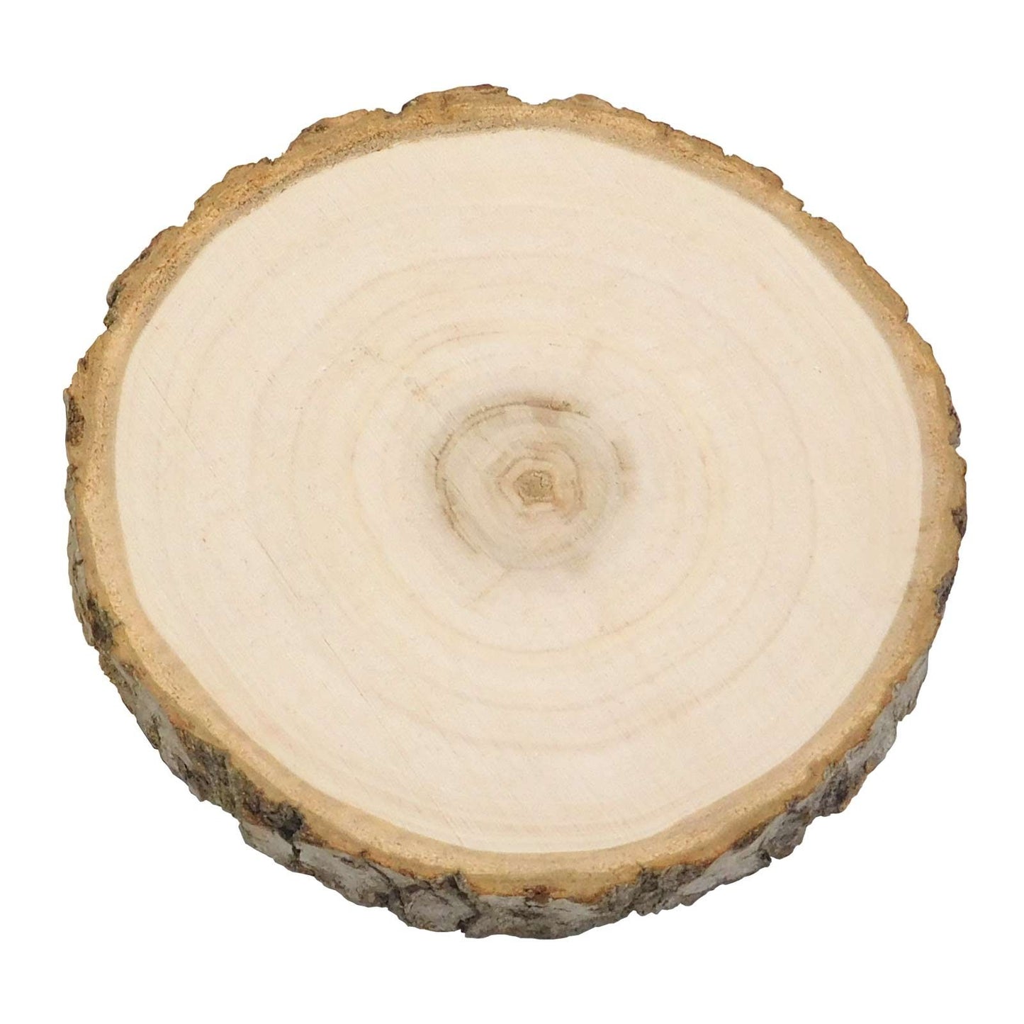 Log Slices, 17-18cm, Sanded Plain Round Wooden Birch Tree