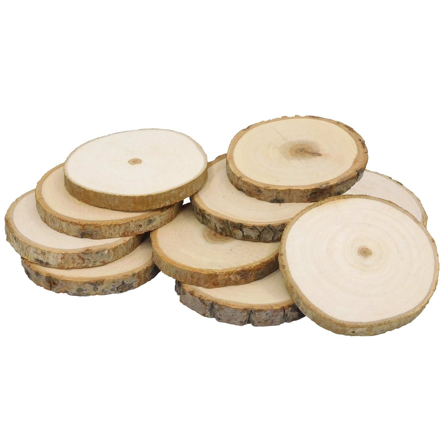 Log Slices, 17-18cm, Sanded Plain Round Wooden Birch Tree