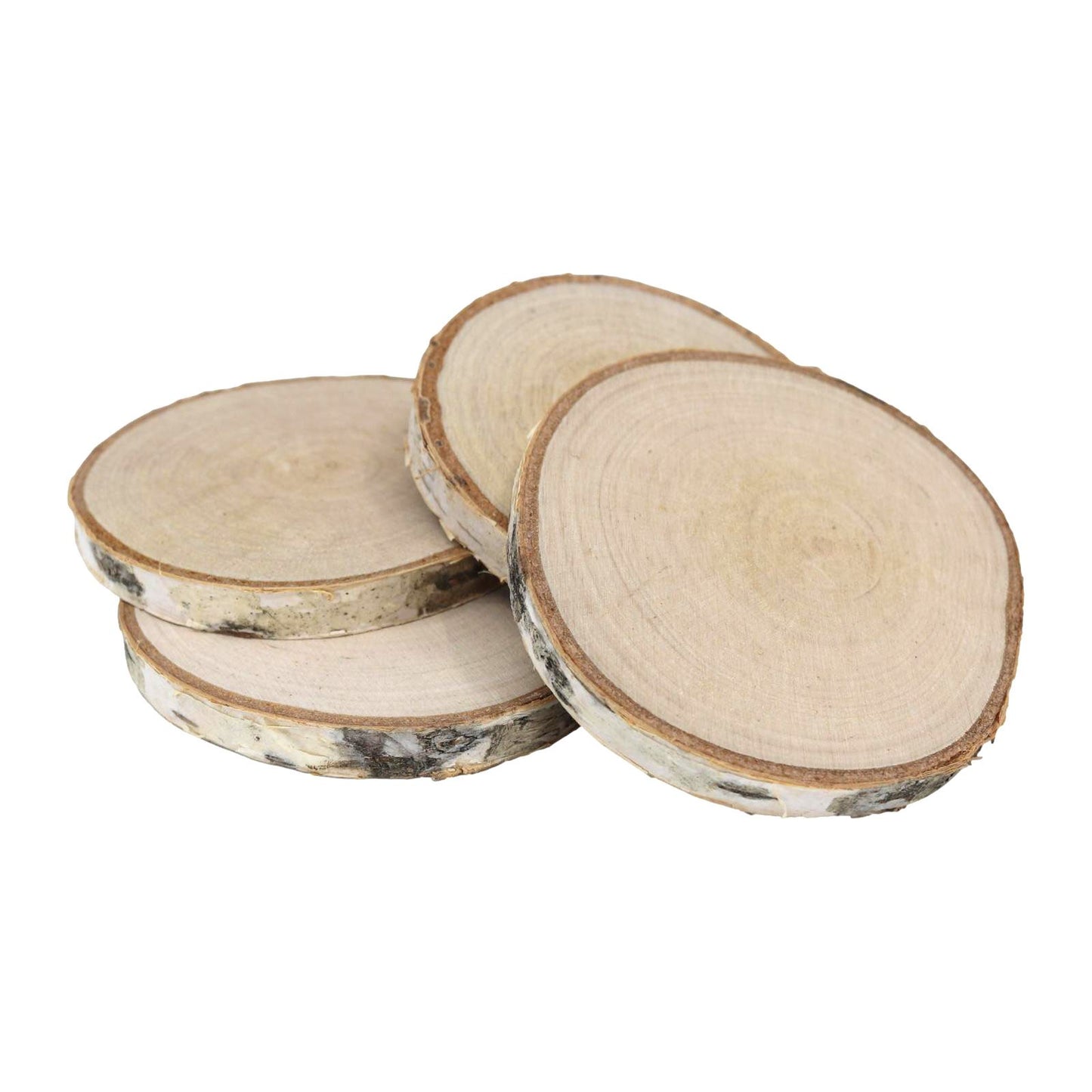 Log Slices, 17-18cm, Sanded Plain Round Wooden Birch Tree